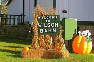 Pumpkin Fest in Wilson Barn for Latin Singles